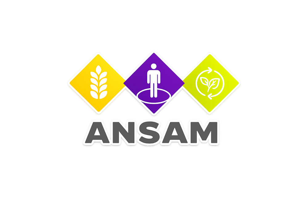 ansam.cl